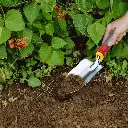 WOLF GARDEN TROWEL LU2K- (291400)-0%-33.webp