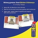 WD 40 PIDILITE 500ML