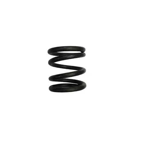SP-10 SPRING (IW10508) B-36