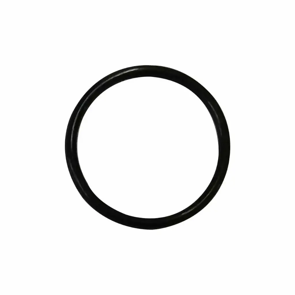 SP-21 O-RING 25.7*.02 (AG900282) B-88