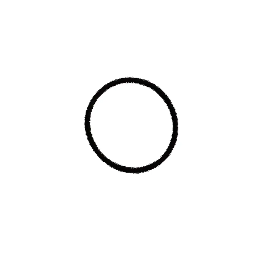 SP-37 O-RING INGCO (RH150028) D-69