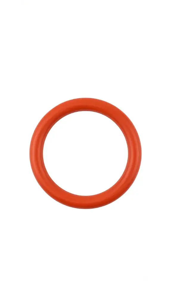 SP-49 BRACKET O-RING INGCO (RGH9028) G-17