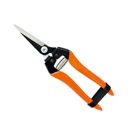 [TMI4473] FRUIT SHEARS FALCON (FBT-45)